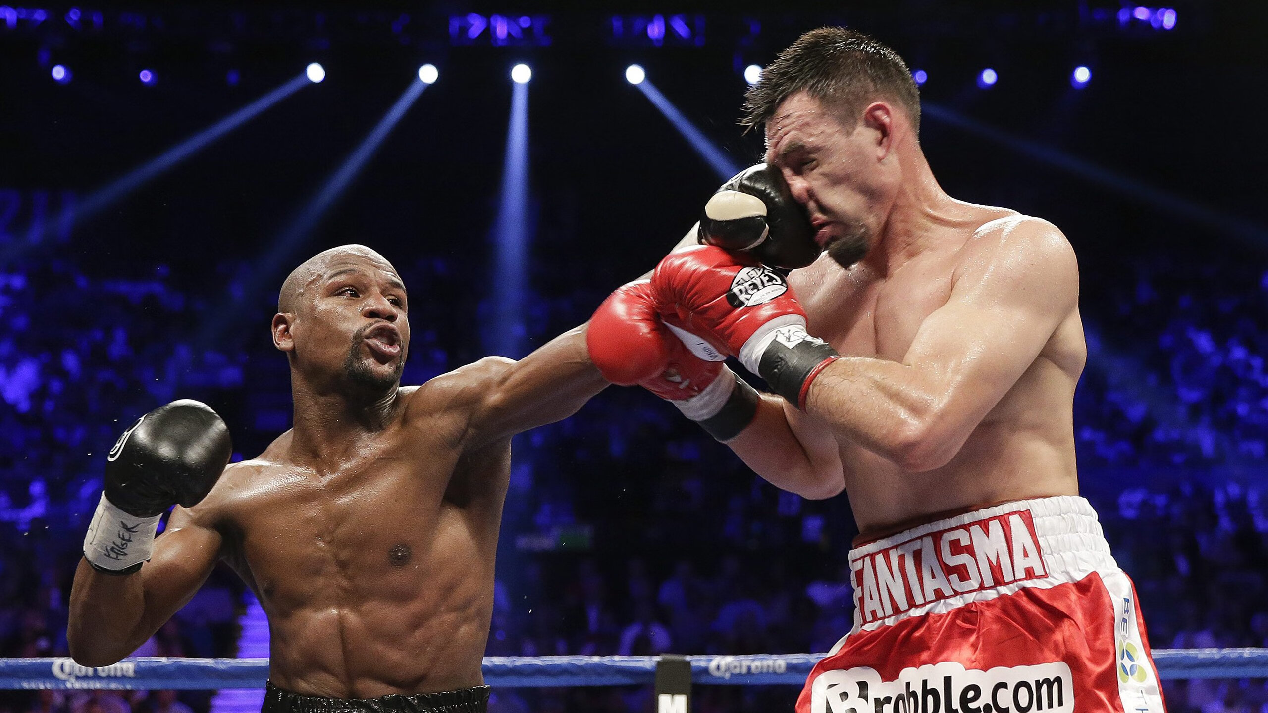 WRC最美赛道:边看比赛边享受自然之美,wrc 比赛